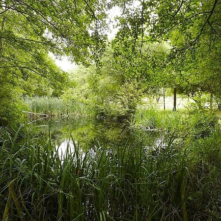 Villa Un Petit Coin De Campagne Dans Le Pays De Saint-Gilles Esterno foto