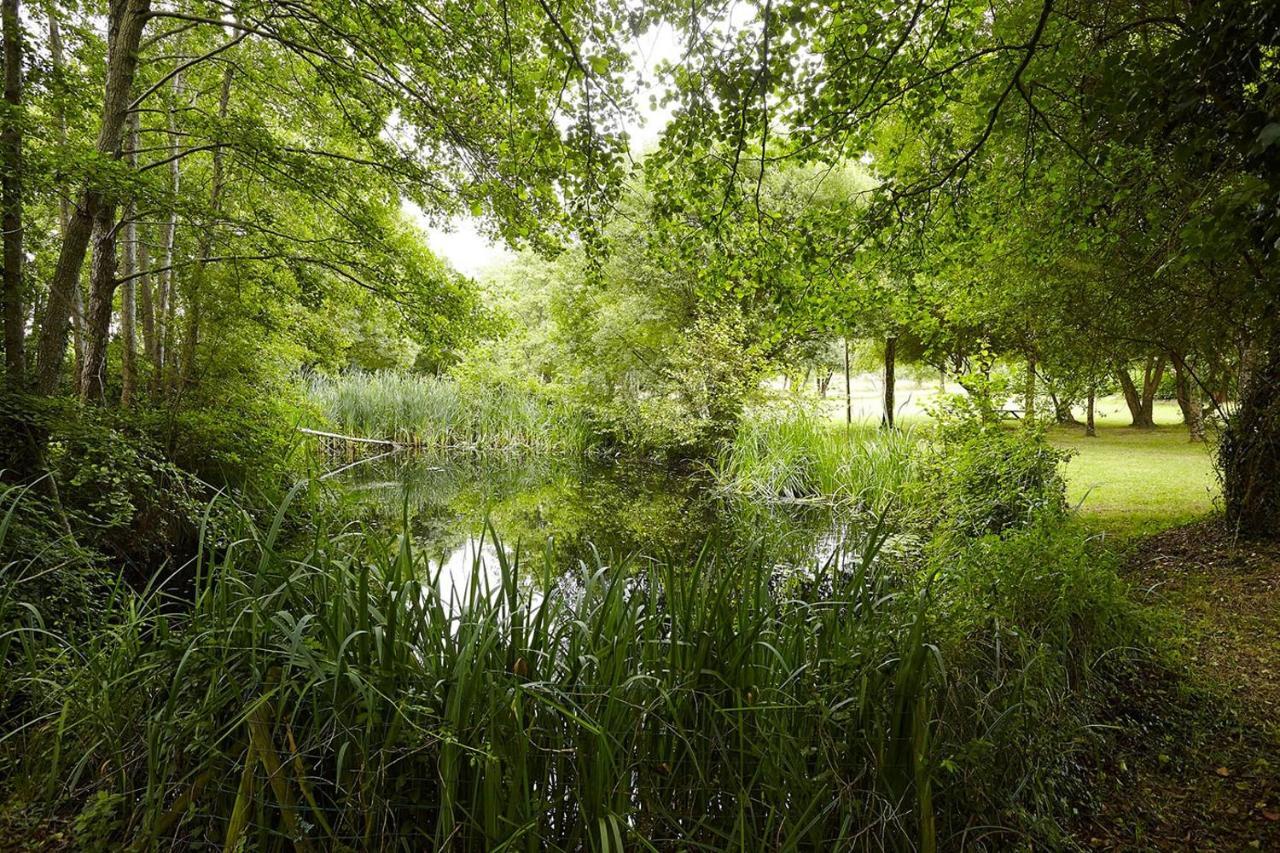Villa Un Petit Coin De Campagne Dans Le Pays De Saint-Gilles Esterno foto